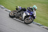 enduro-digital-images;event-digital-images;eventdigitalimages;lydden-hill;lydden-no-limits-trackday;lydden-photographs;lydden-trackday-photographs;no-limits-trackdays;peter-wileman-photography;racing-digital-images;trackday-digital-images;trackday-photos